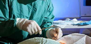 tiểu phẫu cắt bao quy dầu tại đồng nai